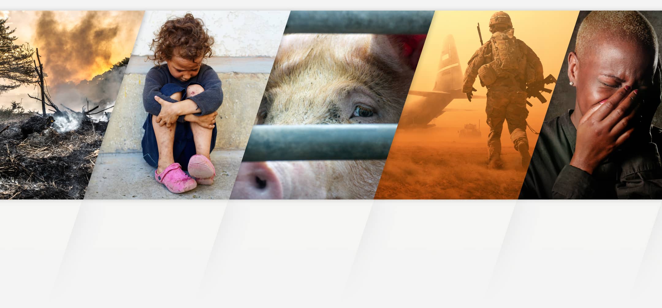 End Infighting Banner Graphic